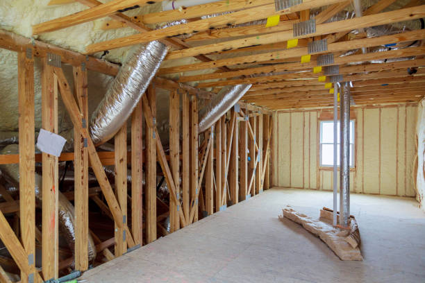 Best Energy-efficient Insulation  in Pamplico, SC