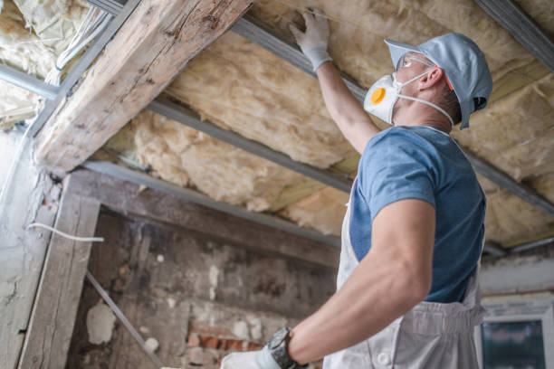 Best Insulation Repair Services  in Pamplico, SC