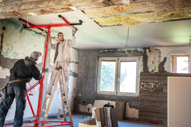 Best Insulation Removal  in Pamplico, SC