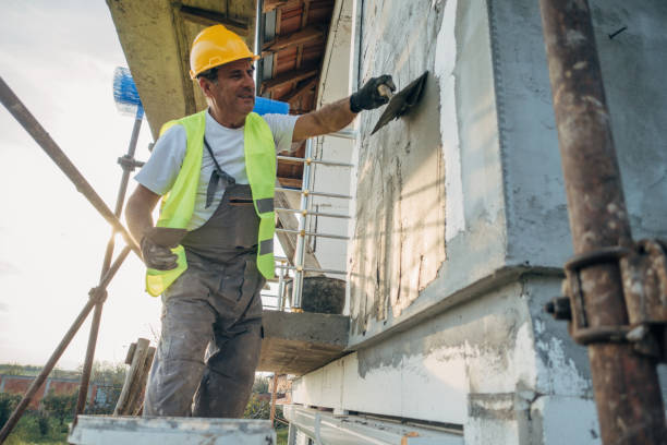 Best Insulation Contractor Near Me  in Pamplico, SC